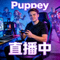 Puppey直播封面